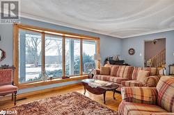 Living room featuring wood-type flooring, a textured ceiling, and crown molding - 