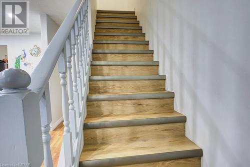 Stairs featuring hardwood / wood-style flooring - 255 Lansdowne Avenue Unit# 3, Woodstock, ON - Indoor Photo Showing Other Room