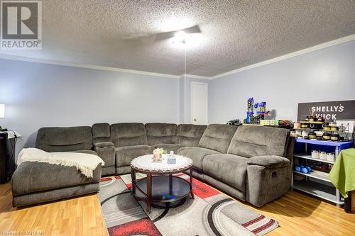 Living room with crown molding, wood-type flooring, and a textured ceiling - 255 Lansdowne Avenue Unit# 3, Woodstock, ON - Indoor Photo Showing Living Room