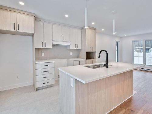 Kitchen - 93 Ch. Des Monts, Val-Des-Monts, QC - Indoor Photo Showing Kitchen With Double Sink With Upgraded Kitchen