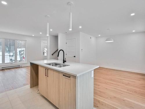 Kitchen - 93 Ch. Des Monts, Val-Des-Monts, QC - Indoor Photo Showing Kitchen With Double Sink With Upgraded Kitchen