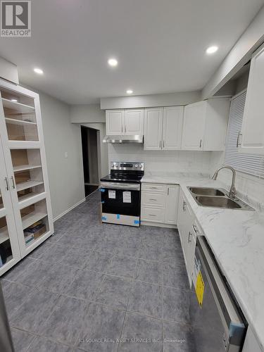 Upper - 133 Mill Street N, Brampton, ON - Indoor Photo Showing Kitchen With Double Sink