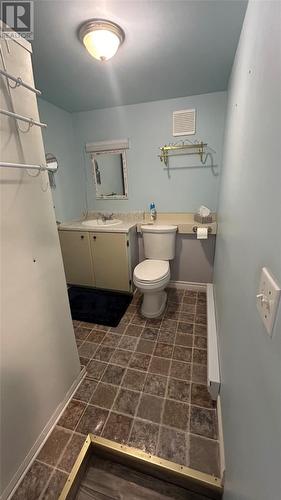 250 Queen Street, Stephenville, NL - Indoor Photo Showing Bathroom