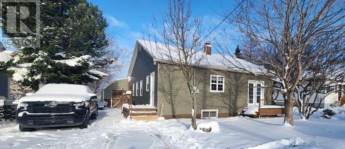 17 Sherwood Avenue, Corner Brook, NL - Outdoor