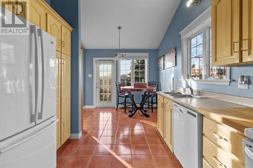 29 Rumboldt Place, St. John'S, NL - Indoor Photo Showing Kitchen With Double Sink