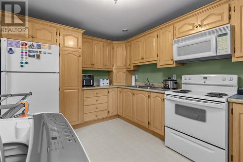 29 Rumboldt Place, St. John'S, NL - Indoor Photo Showing Kitchen With Double Sink