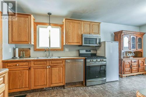 92 Snowdon Crescent, London, ON - Indoor Photo Showing Kitchen With Double Sink