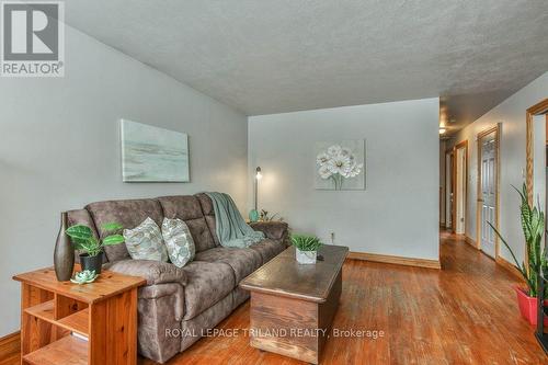 92 Snowdon Crescent, London, ON - Indoor Photo Showing Living Room