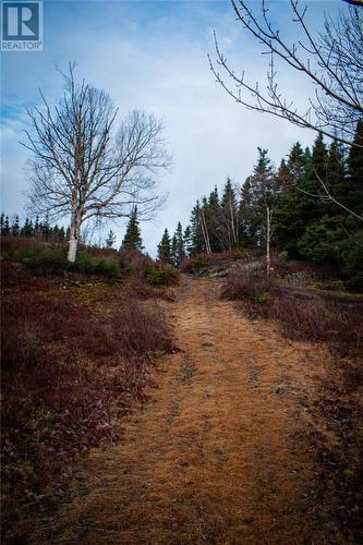 7 Bennett Lane, Beachside, NL - Outdoor With View