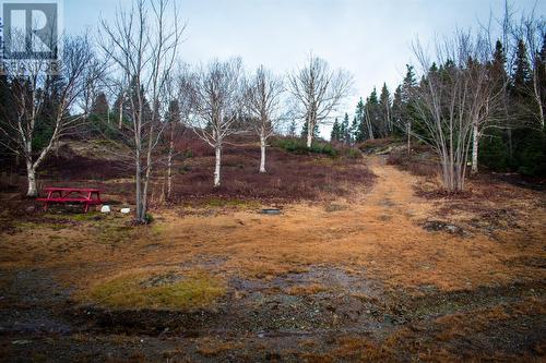 7 Bennett Lane, Beachside, NL - Outdoor With View