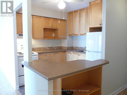 1103 - 158B Mcarthur Avenue, Ottawa, ON - Indoor Photo Showing Kitchen