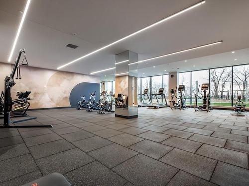 Exercise room - 404-399 Rue De La Rotonde, Montréal (Verdun/Île-Des-Soeurs), QC - Indoor Photo Showing Gym Room