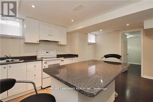 (Bsmt.) - 41 Hulley Crescent, Ajax, ON - Indoor Photo Showing Kitchen With Double Sink