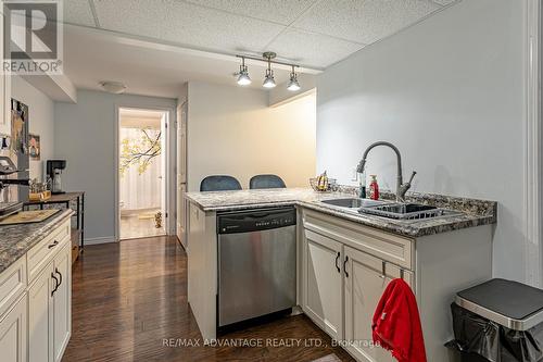 1176 Birchwood Drive, London, ON - Indoor Photo Showing Kitchen With Double Sink