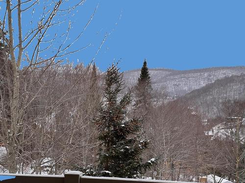 Vue - 7-205 Rue Du Mont-Plaisant, Mont-Tremblant, QC - Outdoor With View