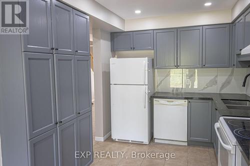 20 Curzon Crescent, Guelph, ON - Indoor Photo Showing Kitchen With Double Sink