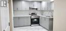 Bsmt - 3192 Ernest Appelbe Boulevard, Oakville, ON  - Indoor Photo Showing Kitchen With Double Sink 