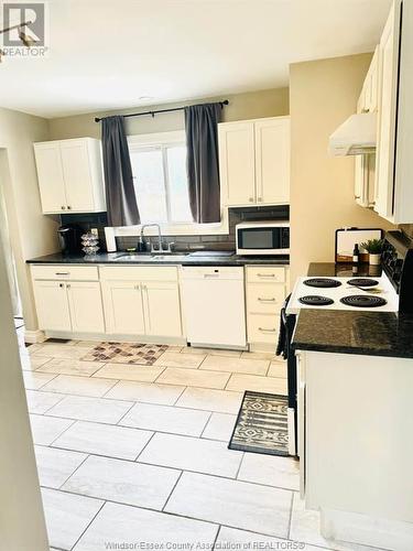 3536 Wolfe Court, Windsor, ON - Indoor Photo Showing Kitchen With Double Sink