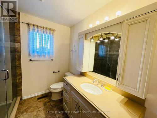 4504 Gullfoot Circle, Mississauga, ON - Indoor Photo Showing Bathroom