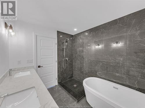 360 Angelo Crescent, Lasalle, ON - Indoor Photo Showing Bathroom