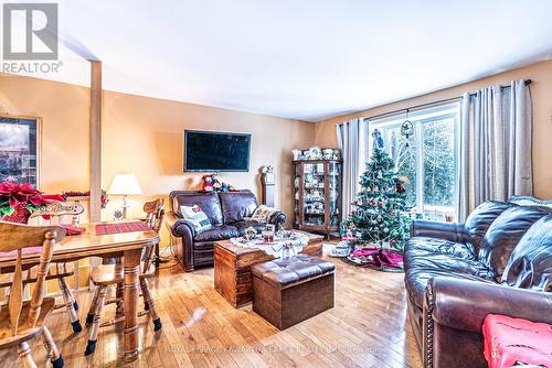 5 Sunrise Crescent, Kawartha Lakes (Lindsay), ON - Indoor Photo Showing Living Room