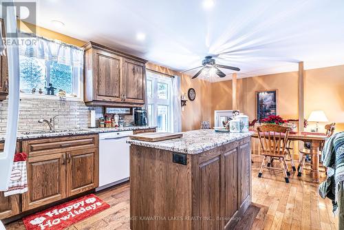 5 Sunrise Crescent, Kawartha Lakes (Lindsay), ON - Indoor Photo Showing Kitchen