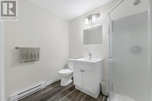 56 Dunkerry Crescent, St. John'S, NL - Indoor Photo Showing Bathroom