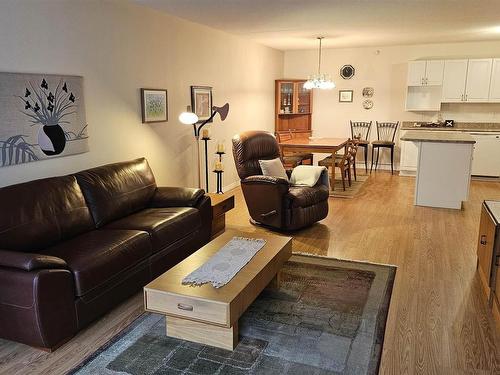 305 620 Red River Road, Thunder Bay, ON - Indoor Photo Showing Living Room