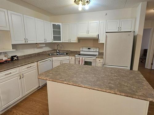 305 620 Red River Road, Thunder Bay, ON - Indoor Photo Showing Kitchen With Double Sink