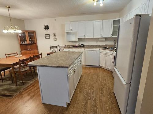 305 620 Red River Road, Thunder Bay, ON - Indoor Photo Showing Kitchen With Double Sink