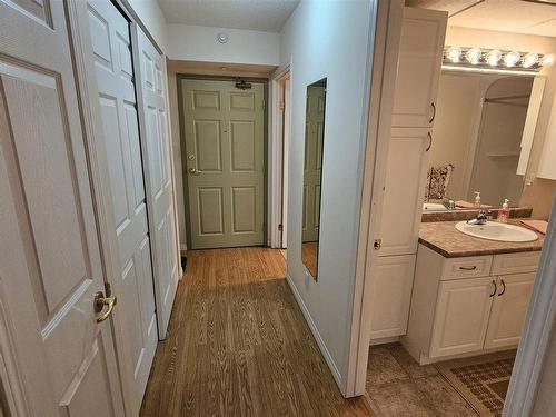 305 620 Red River Road, Thunder Bay, ON - Indoor Photo Showing Bathroom