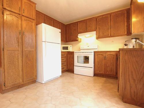 Cuisine - 10695 Rue J.-J.-Gagnier, Montréal (Ahuntsic-Cartierville), QC - Indoor Photo Showing Kitchen