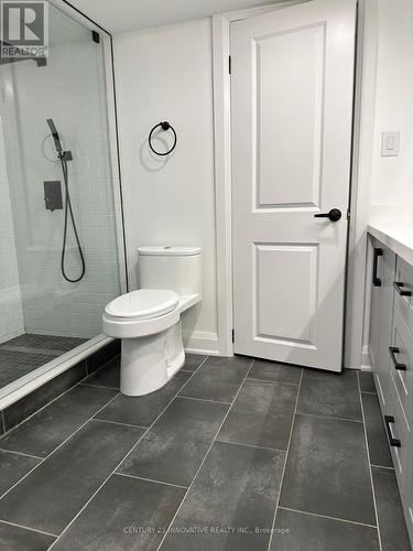 Lower - 24 Ovida Boulevard, Markham, ON - Indoor Photo Showing Bathroom