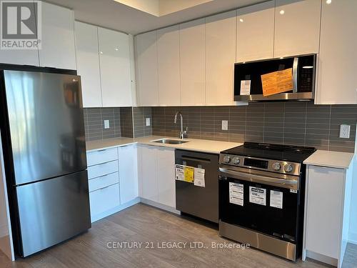 620 - 225 Malta Avenue, Brampton, ON - Indoor Photo Showing Kitchen With Stainless Steel Kitchen