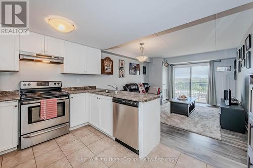 201 - 60 Lynnmore Street, Guelph (Pine Ridge), ON - Indoor Photo Showing Kitchen With Double Sink