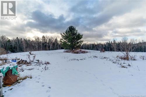 40 Whittaker Lane, Long Reach, NB - Outdoor With View