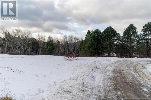 40 Whittaker Lane, Long Reach, NB - Outdoor With View