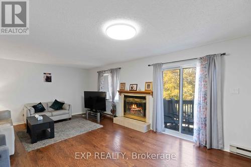 6 Terrace Drive, Ottawa, ON - Indoor Photo Showing Living Room With Fireplace