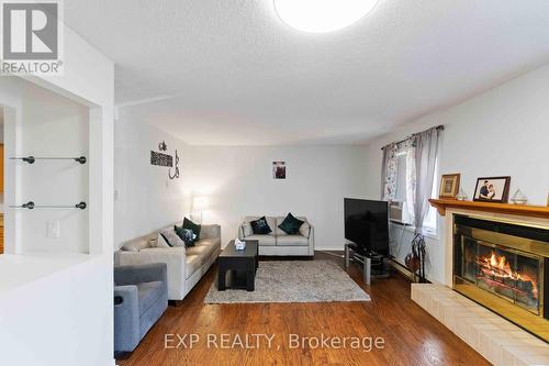 6 Terrace Drive, Ottawa, ON - Indoor Photo Showing Living Room With Fireplace