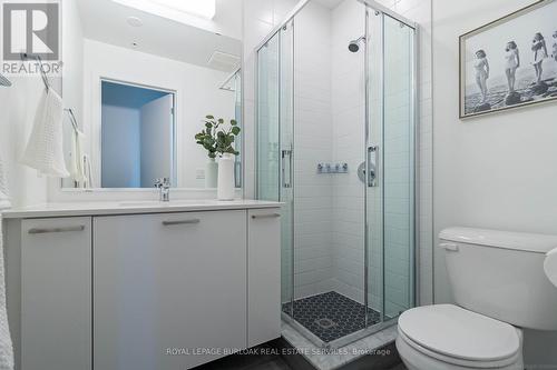 206 - 455 Charlton Avenue E, Hamilton, ON - Indoor Photo Showing Bathroom