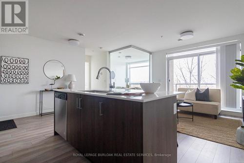 206 - 455 Charlton Avenue E, Hamilton, ON - Indoor Photo Showing Kitchen With Upgraded Kitchen