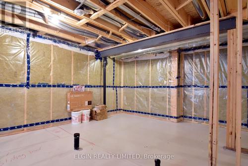 118 Benjamin Parkway, St. Thomas, ON - Indoor Photo Showing Basement