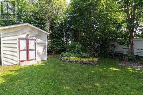 19 Cowan Avenue, St John'S, NL - Outdoor