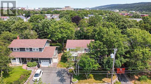 19 Cowan Avenue, St John'S, NL - Outdoor