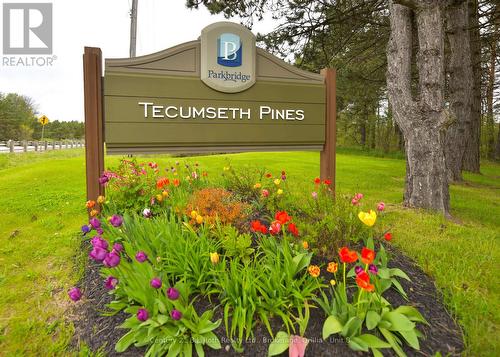 56 Tecumseth Pines Drive, New Tecumseth, ON - Outdoor