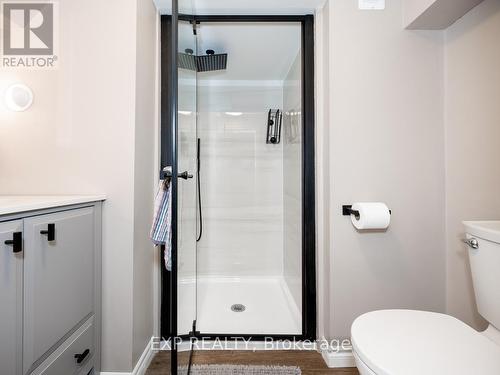 [Bsmt] - 785 Frobisher Boulevard, Milton, ON - Indoor Photo Showing Bathroom