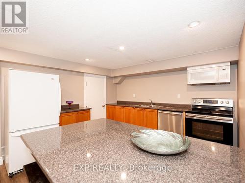 [Bsmt] - 785 Frobisher Boulevard, Milton, ON - Indoor Photo Showing Kitchen With Double Sink