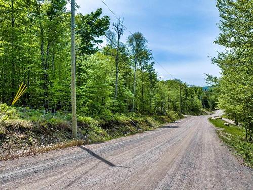 Terre/Terrain - Ch. De La Fraternité, Lac-Supérieur, QC 