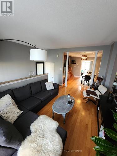 25 - 280 Hillcrest Avenue, Mississauga, ON - Indoor Photo Showing Living Room