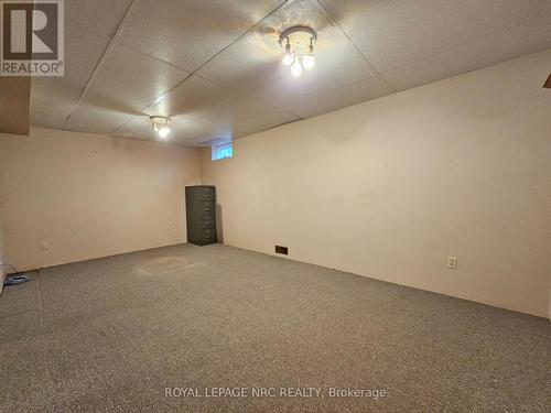 107 Commercial Street, Welland (773 - Lincoln/Crowland), ON - Indoor Photo Showing Basement